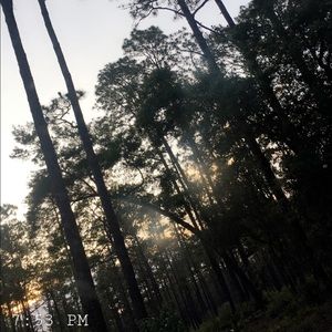 Meet your Posher, Alea